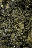 21569 - Association Quartz + Pyrite + Barite Crystals - Alnif (Morocco)