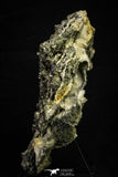 21569 - Association Quartz + Pyrite + Barite Crystals - Alnif (Morocco)