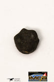 21671 - Lot of Official Chelyabinsk LL5 Type Chondrite Meteorites 2.05 g