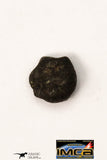 21671 - Lot of Official Chelyabinsk LL5 Type Chondrite Meteorites 2.05 g