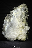 21570 - Association Quartz + Pyrite + Barite Crystals - Alnif (Morocco)