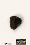 21672 - Lot of Official Chelyabinsk LL5 Type Chondrite Meteorites 2.04 g