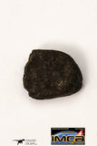 21673 - Lot of Official Chelyabinsk LL5 Type Chondrite Meteorites 2.06 g