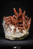 21573 - Top Huge 6.69 Inch Natural Red Iron-Oxide Coated Quartz Crystals Cluster Red Iron-Oxide Coated Quartz Crystals Cluster