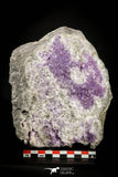 21674 - Museum Grade Purple Fluorite Crystals on Matrix Tounfit Fluorite Mine South Morocco