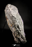 21674 - Museum Grade Purple Fluorite Crystals on Matrix Tounfit Fluorite Mine South Morocco