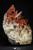 21573 - Top Huge 6.69 Inch Natural Red Iron-Oxide Coated Quartz Crystals Cluster Red Iron-Oxide Coated Quartz Crystals Cluster
