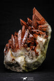 21573 - Top Huge 6.69 Inch Natural Red Iron-Oxide Coated Quartz Crystals Cluster Red Iron-Oxide Coated Quartz Crystals Cluster