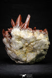 21573 - Top Huge 6.69 Inch Natural Red Iron-Oxide Coated Quartz Crystals Cluster Red Iron-Oxide Coated Quartz Crystals Cluster