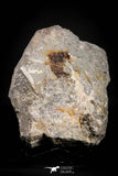 21674 - Museum Grade Purple Fluorite Crystals on Matrix Tounfit Fluorite Mine South Morocco