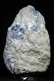 21574 - Superb Celestine Crystals Cluster Imilchil mine Morocco Celestine - 2716 g