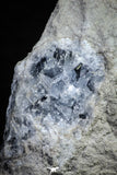 21574 - Superb Celestine Crystals Cluster Imilchil mine Morocco Celestine - 2716 g