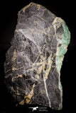 21676 - Top Rare Green Fluorite Crystals + Quartz on Matrix Hameda Fluorite Mine South Morocco