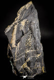 21676 - Top Rare Green Fluorite Crystals + Quartz on Matrix Hameda Fluorite Mine South Morocco