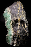 21676 - Top Rare Green Fluorite Crystals + Quartz on Matrix Hameda Fluorite Mine South Morocco