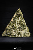 21576 - Museum Grade 8.27 Inch Quartz Crystals + Epidote in Matrix - Imilchil (Morocco)