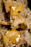 21677 - Top Rare Beautiful Yellow Wulfenite Crystal on Dolomite and Galena Morocco