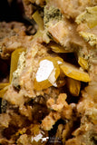 21677 - Top Rare Beautiful Yellow Wulfenite Crystal on Dolomite and Galena Morocco