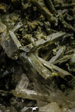 21576 - Museum Grade 8.27 Inch Quartz Crystals + Epidote in Matrix - Imilchil (Morocco)