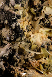 21677 - Top Rare Beautiful Yellow Wulfenite Crystal on Dolomite and Galena Morocco