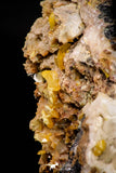 21677 - Top Rare Beautiful Yellow Wulfenite Crystal on Dolomite and Galena Morocco