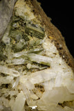 21576 - Museum Grade 8.27 Inch Quartz Crystals + Epidote in Matrix - Imilchil (Morocco)