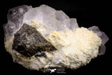 21679 - Finest Quality Fluorite Cubes On White Blanded Barite Morocco