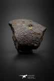 08058 - Unclassified NWA  28.1g Chondrite Partial Meteorite