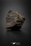 08058 - Unclassified NWA  28.1g Chondrite Partial Meteorite