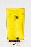 04282 - Well Preserved 0.35 Inch Baltic Amber With An Inclusion Of Fossil Insect (Diptera- Dolichopodidae Fly)