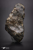 04406 - Unclassified NWA 28 g Chondrite L-H Type Meteorite Sahara Fall