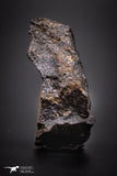 04407 - Unclassified NWA 13 g Chondrite L-H Type Meteorite Sahara Fall