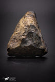 04408 - Unclassified NWA 37 g Chondrite L-H Type Meteorite Sahara Fall