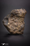 04408 - Unclassified NWA 37 g Chondrite L-H Type Meteorite Sahara Fall