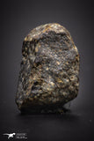 04409 - Unclassified NWA 13 g Chondrite L-H Type Meteorite Sahara Fall
