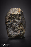 04409 - Unclassified NWA 13 g Chondrite L-H Type Meteorite Sahara Fall