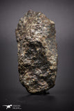 04411 - Unclassified NWA 45 g Chondrite L-H Type Meteorite Sahara Fall