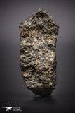 04411 - Unclassified NWA 45 g Chondrite L-H Type Meteorite Sahara Fall