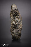 04411 - Unclassified NWA 45 g Chondrite L-H Type Meteorite Sahara Fall