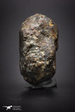 04412 - Unclassified NWA 23 g Chondrite L-H Type Meteorite Sahara Fall