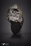04414 - Unclassified NWA 15 g Chondrite L-H Type Meteorite Sahara Fall