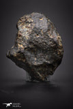 04414 - Unclassified NWA 15 g Chondrite L-H Type Meteorite Sahara Fall