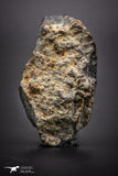 04415 - Unclassified NWA 27 g Chondrite L-H Type Meteorite Sahara Fall