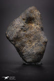 04413 - Unclassified NWA 17 g Chondrite L-H Type Meteorite Sahara Fall