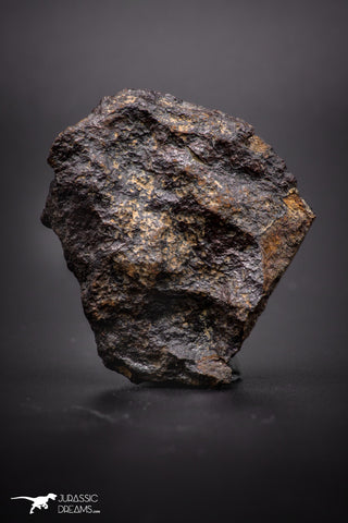 04418 - Unclassified NWA 31 g Chondrite L-H Type Meteorite Sahara Fall