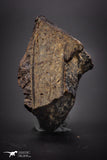 04418 - Unclassified NWA 31 g Chondrite L-H Type Meteorite Sahara Fall