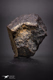 04418 - Unclassified NWA 31 g Chondrite L-H Type Meteorite Sahara Fall