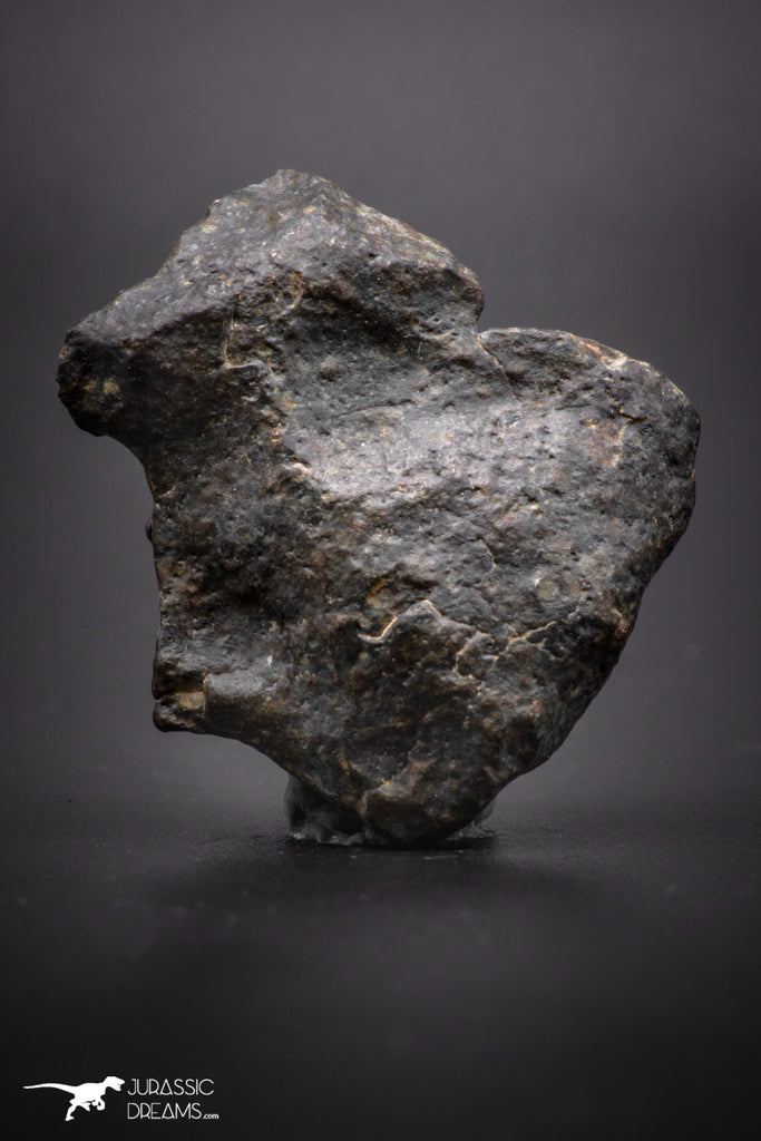 04410 - Unclassified NWA 20 g Chondrite L-H Type Meteorite Sahara Fall