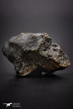 04410 - Unclassified NWA 20 g Chondrite L-H Type Meteorite Sahara Fall