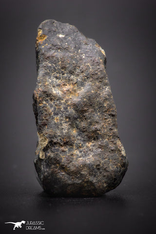 04422 - Unclassified NWA 16 g Chondrite L-H Type Meteorite Sahara Fall